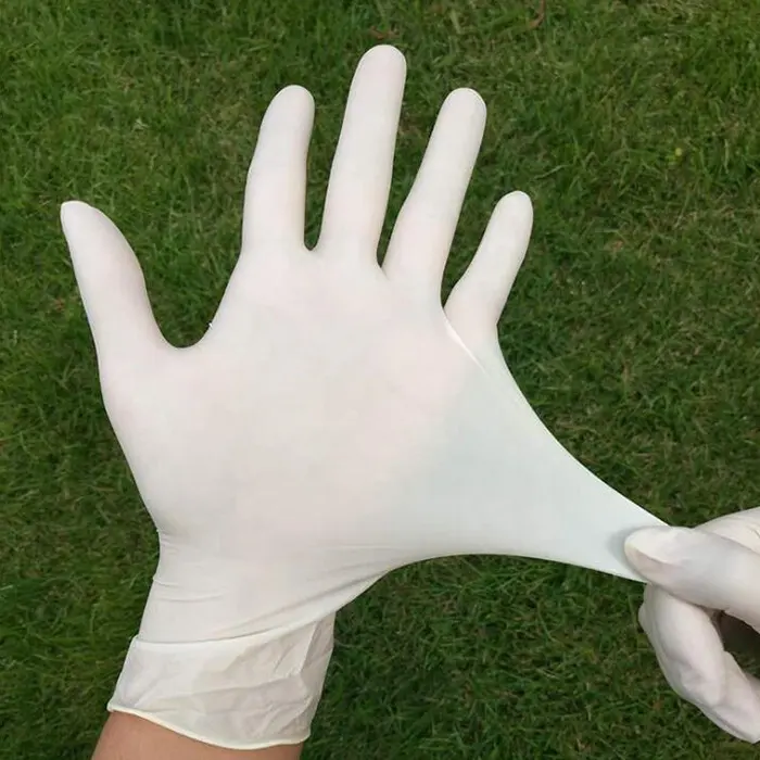 Tek kullanımlık lateks eldivenler biyobozunur ve kompostlanabilir muayene eldivenleri