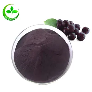 100% Alami Organik Beku Kering Bubuk Buah, Maqui Berry Bubuk Kering Serbuk