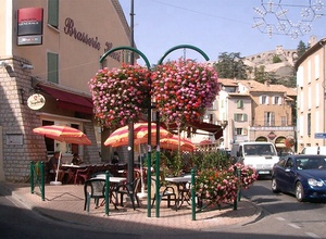 Vertical Garden Systems Cheap <strong>Hanging</strong> Plastic Planter <strong>Basket</strong> Decorative <strong>Indoor</strong> <strong>Hanging</strong> Flower Pot for Garden Wholesale - Product Image 4