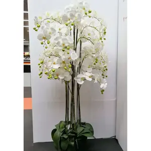 Home decor stores white orquideas phalaenopsis orchid plant phalaenopsis orchid Fleurs artificielles