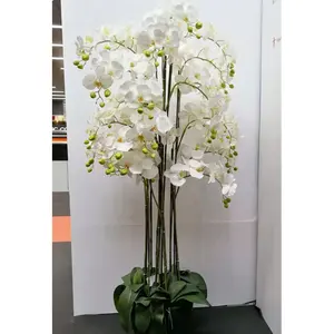 Magasin de décoration intérieure orchidées blanches, orchidées, Fleurs artificielles