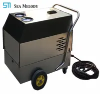 Automobile Industry Steam Cleaner, Car Washing Machine
