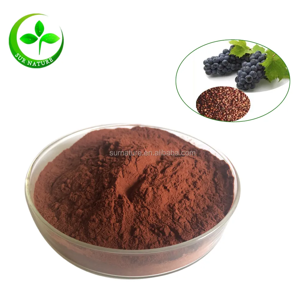 Organic Natural Trade Assurance Grape Seed Extract Powder With High Quality