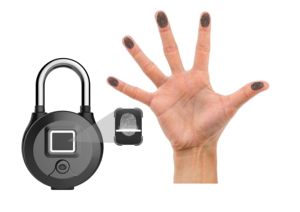 <span class=keywords><strong>Meilleur</strong></span> <span class=keywords><strong>cadenas</strong></span> de marque Globe, petit scanner biométrique d'empreintes digitales, <span class=keywords><strong>cadenas</strong></span> pour vélo d'extérieur - Product Image 2