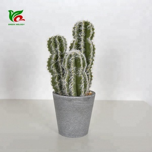 Verde <span class=keywords><strong>Opuntia</strong></span> 25cm <span class=keywords><strong>Cactus</strong></span> nuevo <span class=keywords><strong>Cactus</strong></span> Oficina <span class=keywords><strong>Cactus</strong></span> realista - Product Image 1