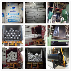 चीन आपूर्तिकर्ताओं एचडीपीई Geomembranes कीमत - Product Image 4