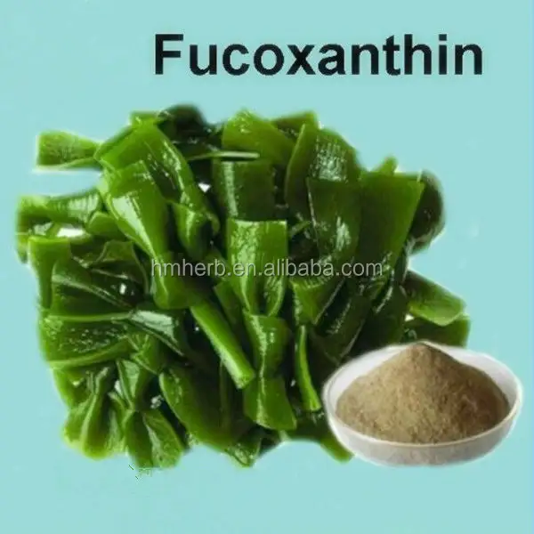 Самый дешевый экстракт бурых водорослей Fucoxanthin водоросли цена