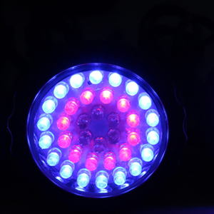 Éclairage de jardin <span class=keywords><strong>LED</strong></span> amphibie imperméable <span class=keywords><strong>multicolore</strong></span>, projecteurs de jardin d'extérieur pour aquarium - Product Image 5