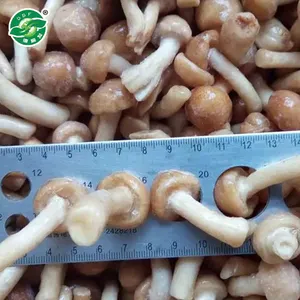 Wholesale Frozen Nameko Mushroom