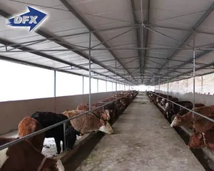 Metal Cattle Shed With Dairy Farm House Equipment
