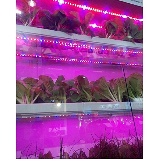 Tesfish Bande LED Plein Spectre 5M Rouge Bleu 3:1 - Lampe Croissance Plantes Aquarium Serre IP65 12V