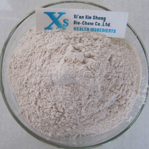 Haute Qualité GMP Naturel <span class=keywords><strong>Brun</strong></span> Poudre De Protéine De <span class=keywords><strong>Riz</strong></span>/Végétarien Protéines Végétales Poudre - Product Image 1