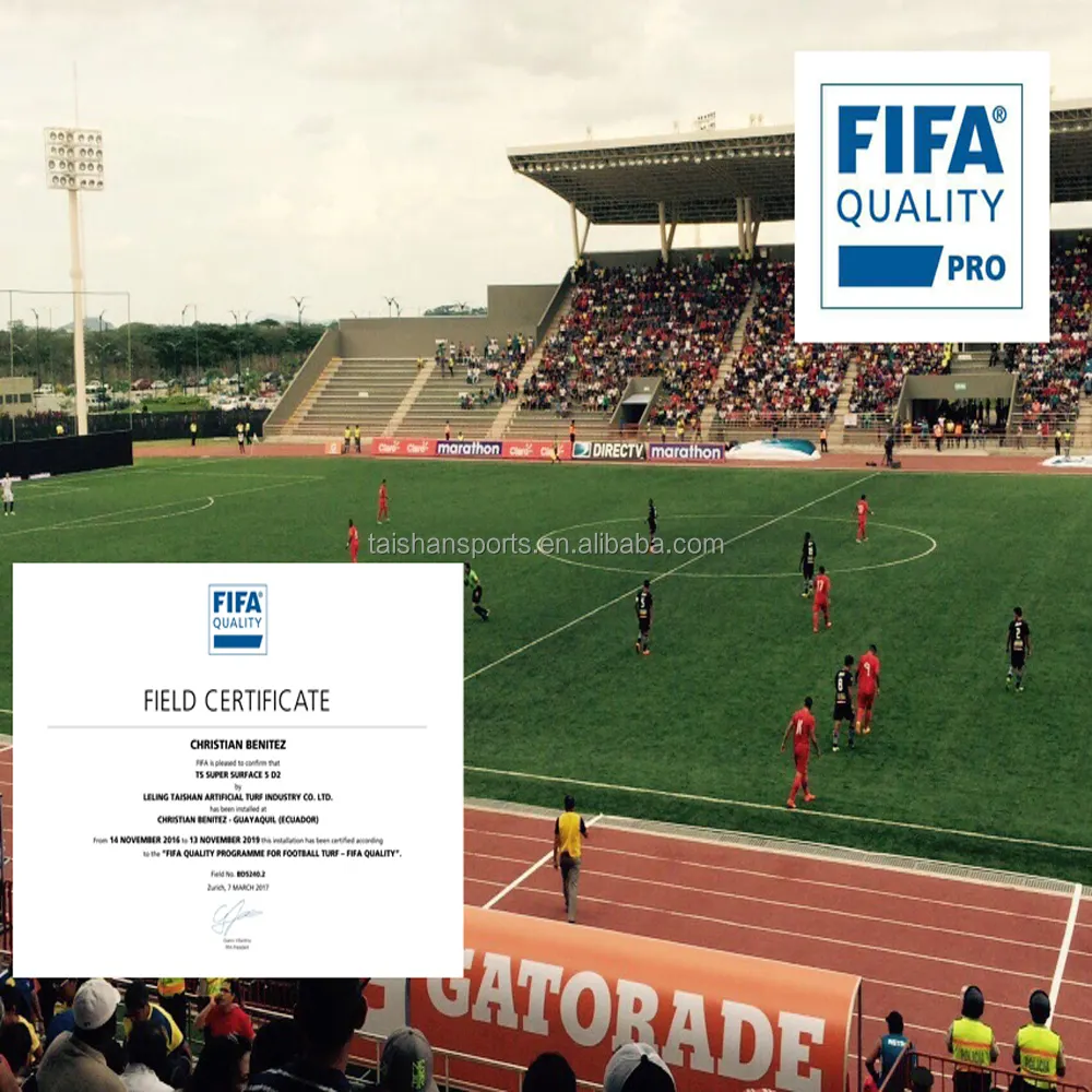 FIFA承認サッカー人工芝/芝/芝生アメリカ市場向け