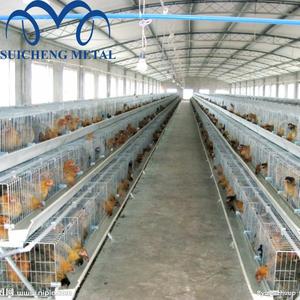 Cage <span class=keywords><strong>à</strong></span> poussins de type H de Guangzhou, petite cage <span class=keywords><strong>à</strong></span> poulets, cage pour 300 poulets - Product Image 5