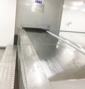 iqf tunnel freezer with solid conveyor belt for for meat fish