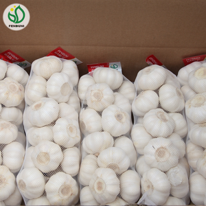 Giá Rau Củ Tươi Tỏi, Gừng, Hành Tây - Product Image 4