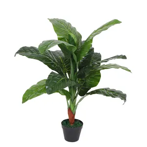 Kunstmatige Dieffenbachia Leven Dieffenbachia Plant Kunstmatige Bonsai Benodigdheden