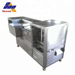 Hot sale dry date pit removing machine/date seed extracting machine/palm dates processing machine