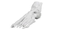 Impresora 3D a Todo Color ComeTrue 3D