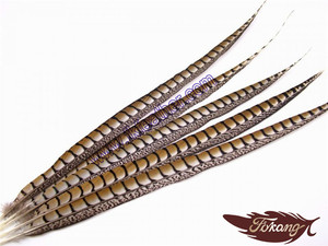 Comercio al por mayor 40-45 "Centro de Señora Amherst Pheasant Plumas de Cola Para La Venta - Product Image 4