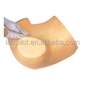 Mannequin d'entraînement complet pour examen gynécologique avec divers modèles de col de l'utérus et d'utérus - Product Image 3