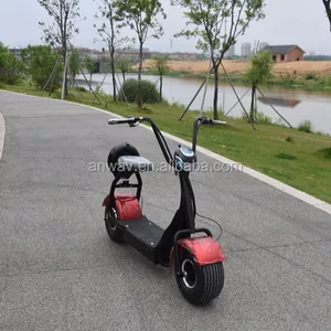两个电池 citycoco fat 轮胎电动摩托车车辆/APP/2 座/转向灯/junior city coco 电动滑板车