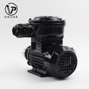 Pompe à engrenages à entraînement magnétique AC380V avec <span class=keywords><strong>convertisseur</strong></span> de fréquence pour le transfert de liquides industriels - Product Image 5