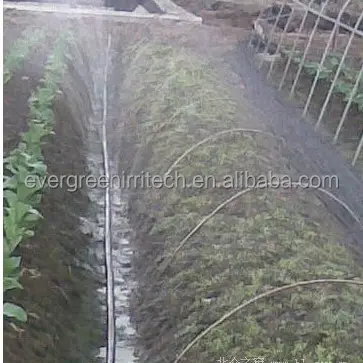 Tube de pulvérisation d'irrigation PE, bande de pluie
