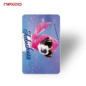 Nexqo Novo Personalizado full color Impressão offset PVC Cartão de plástico