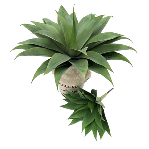 Planta Artificial de Aloe <span class=keywords><strong>Vera</strong></span> de Plástico al por Mayor para Decoración con Tacto Real - Product Image 2