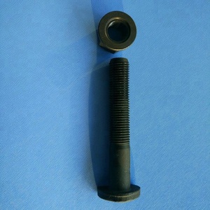 पागल के साथ डी बोल्ट ग्रेड 8.8 काले खत्म उच्च गुणवत्ता चीन में किए गए - Product Image 6