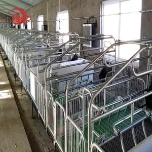 pig farm equipment sows gestation crate, sow stall, sow crates