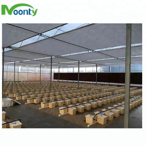 Secchio olandese idroponico del pomodoro secchio Bato per la scatola di coltivazione del giardino della <span class=keywords><strong>serra</strong></span> - Product Image 4
