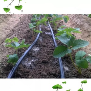 <span class=keywords><strong>Tubo</strong></span> di <span class=keywords><strong>irrigazione</strong></span> a goccia in Pe di alta qualità a basso prezzo <span class=keywords><strong>per</strong></span> uso agricolo - Product Image 5