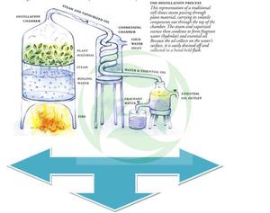 A granel virgen extra ecológico <span class=keywords><strong>aceite</strong></span> de aguacate para material de medicina uso - Product Image 3
