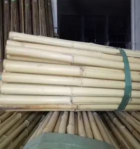 Yüksek kaliteli çay kurutulmuş bambu, sert doku olarak da bilinen demir bambu