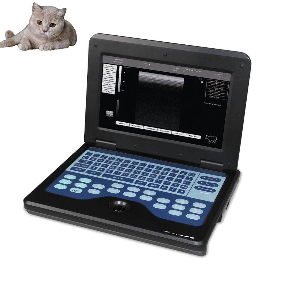pcr vet