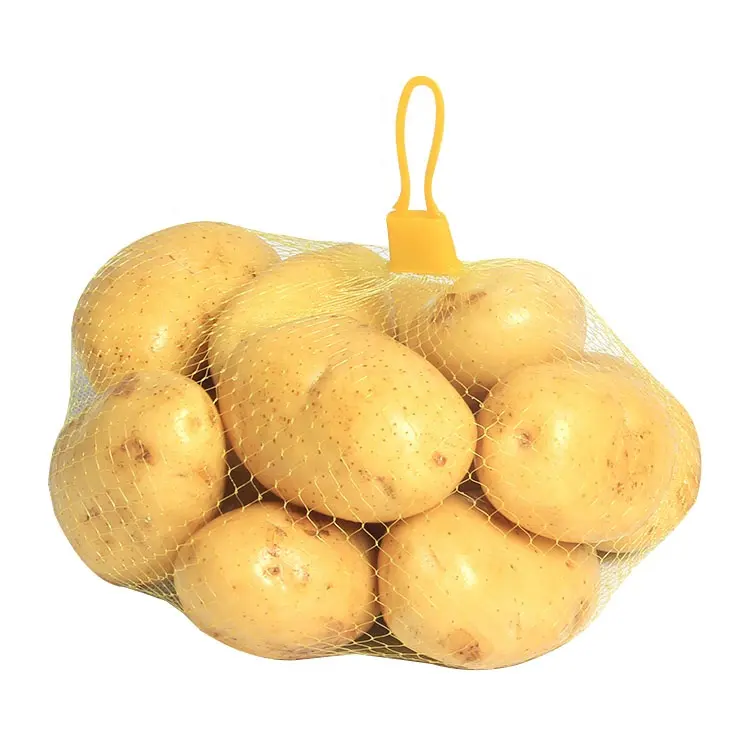 Hohe qualität Kunststoff knoblauch eier kartoffel tomaten kleine verpackung net mesh tasche