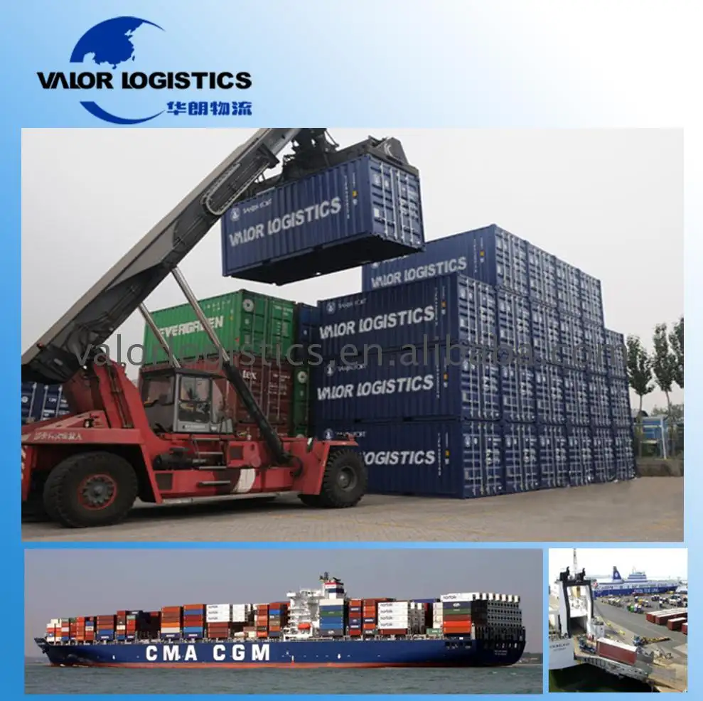 professional sea freight forwarding to qatar