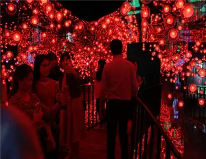 Gooest Light Show Spiaggia di Stelle per la Mostra Bambini Centro e di Arte Centro