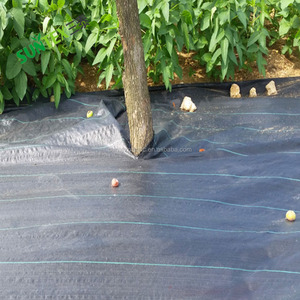 Serre agricole PP couvre-sol pour fraise/arbre PP tapis de mauvaises herbes/tapis de mauvaises herbes pour les lacs - Product Image 6