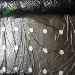 20 micron LDPE trong suốt nông nghiệp mulching phim nhà máy che phủ mặt đất, nhà kính polyethylene nhựa <span class=keywords><strong>mulch</strong></span> 1.1*1000m - Product Image 4