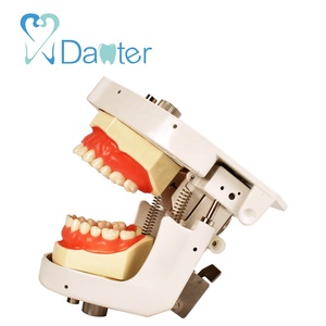 Migliore Qualità Dentale Articolatore Dentale <span class=keywords><strong>Phantom</strong></span> Testa di Manichino per la Vendita - Product Image 3