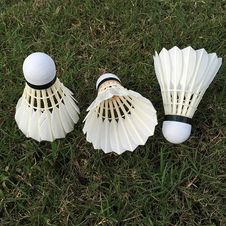 Ganzenveren Badminton Apparatuur Shuttleock Birdie Ballen te Koop