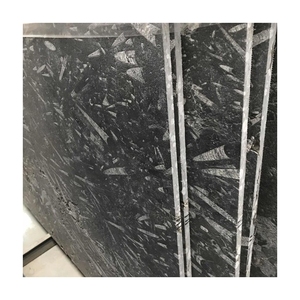 Piastrelle di marmo della lastra di marmo nero fossile di buona qualità con venature bianche marmo fossile marocchino prezzo