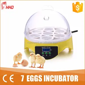 HHD enfants cadeau articles vente chaude oeufs de poulets de chair à couver incubateur utilisé en famille YZ9-7