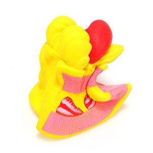 Squishies Jumbo Gói Dễ Thương Thực Phẩm Tăng Chậm 3 Gói Kem Donut & Phụ Kiện Điện Thoại Mini Squishy - Product Image 4