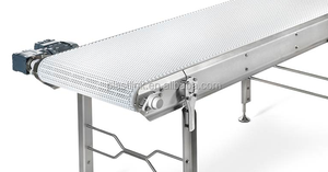 Plast enlace CLEA pescado cinta transportadora modular - Product Image 5
