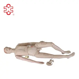 Muñeca de Entrenamiento para Enfermeras (Femenina) de PVC, Modelo de Enseñanza Médica con Colores Realistas - Product Image 1