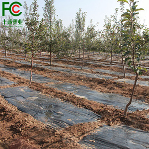 30 microns film de paillis noir pour la fraise - Product Image 4